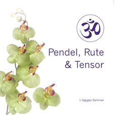 Pendel und Tensor